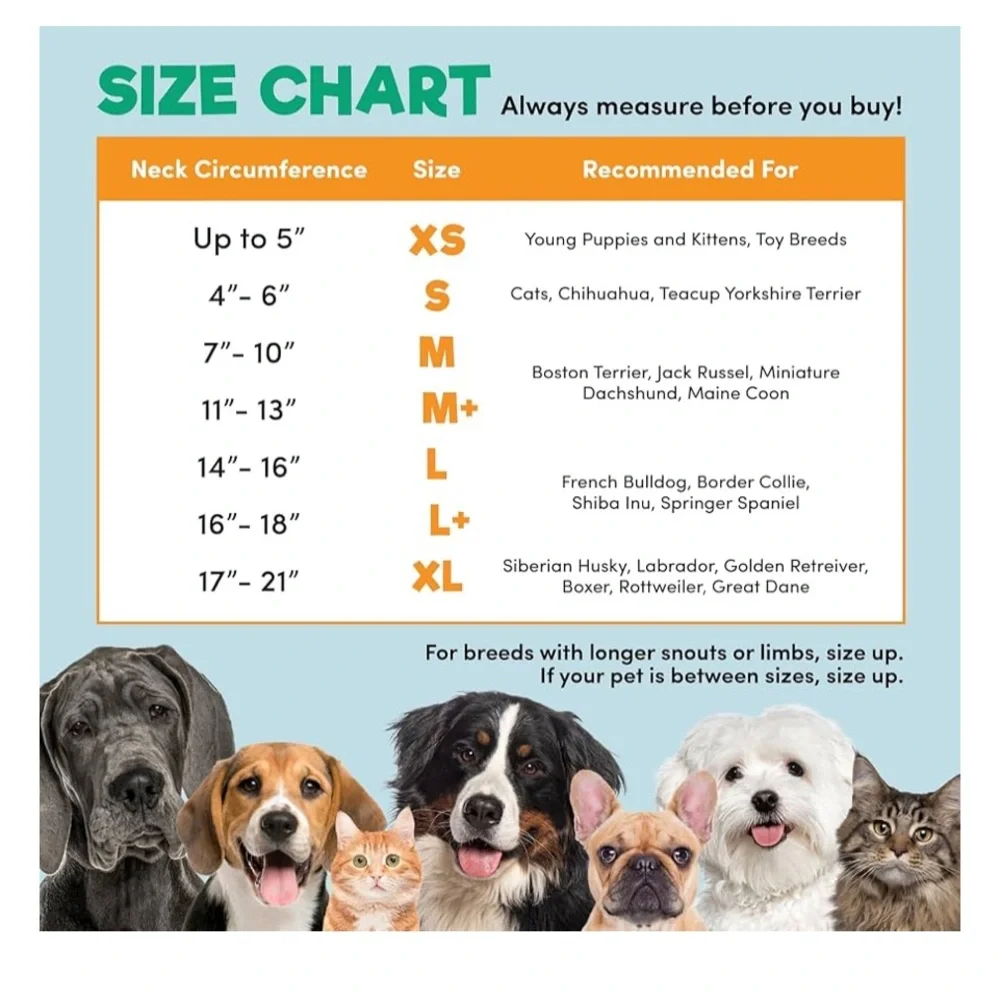 Protective Inflatable Collar for Dogs and Cats Soft Pet Recovery Medium Blue